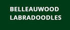 BELLEAUWOOD AUSTRALIAN LABRADOODLES
